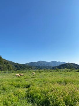 EnglishGardenローザンベリー多和田に投稿された画像（2024/9/6）