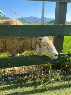 EnglishGardenローザンベリー多和田に投稿された画像（2024/9/6）