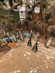 伊勢夫婦岩ふれあい水族館シーパラダイス（伊勢シーパラダイス）に投稿された画像（2024/9/6）