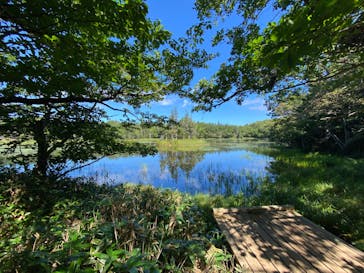 知床ネイチャーオフィスに投稿された画像（2024/9/6）