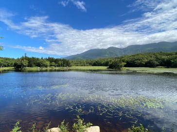 知床ネイチャーオフィスに投稿された画像（2024/9/6）