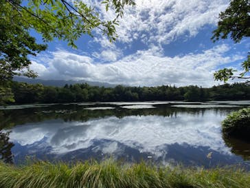 知床ネイチャーオフィスに投稿された画像（2024/9/6）