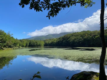 知床ネイチャーオフィスに投稿された画像（2024/9/6）