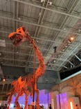 巨大恐竜展2024に投稿された画像（2024/9/6）