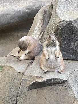 神戸どうぶつ王国に投稿された画像（2024/9/6）