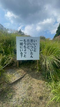 自然体感展望台 六甲枝垂れに投稿された画像（2024/9/6）