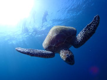 マリンショップ石垣島笑顔向上請負所に投稿された画像（2024/9/6）