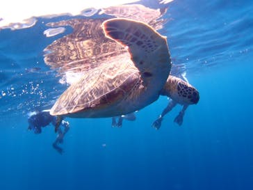 マリンショップ石垣島笑顔向上請負所に投稿された画像（2024/9/6）