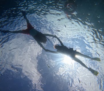 マリンクラブジジに投稿された画像（2024/9/6）