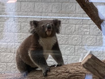 淡路ファームパーク イングランドの丘に投稿された画像（2024/9/6）