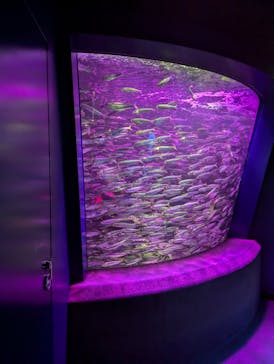 サンシャイン水族館に投稿された画像（2024/9/6）