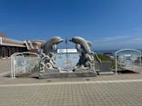 アクアワールド茨城県大洗水族館に投稿された画像（2024/9/6）