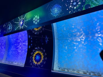 アクアワールド茨城県大洗水族館に投稿された画像（2024/9/6）