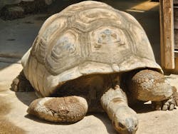 世界淡水魚園水族館　アクア・トトぎふに投稿された画像（2024/9/6）