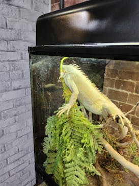 NARA IKIMONO MUSEUMに投稿された画像（2024/9/6）