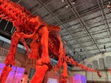 巨大恐竜展2024に投稿された画像（2024/9/6）