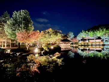 国営昭和記念公園 秋の夜散歩に投稿された画像（2024/9/6）