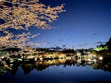 国営昭和記念公園 秋の夜散歩に投稿された画像（2024/9/6）