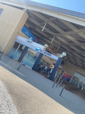 新江ノ島水族館に投稿された画像（2024/9/6）