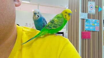 いきもの探検隊に投稿された画像（2024/9/6）