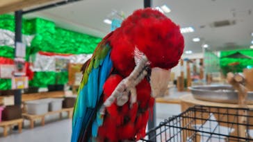 いきもの探検隊に投稿された画像（2024/9/6）