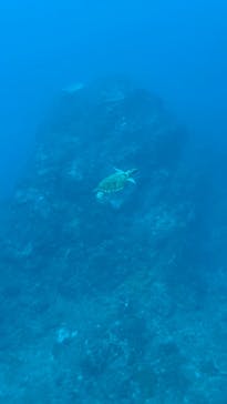 オーシャンブルヴァードに投稿された画像（2024/9/6）