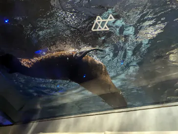 すみだ水族館に投稿された画像（2024/9/7）