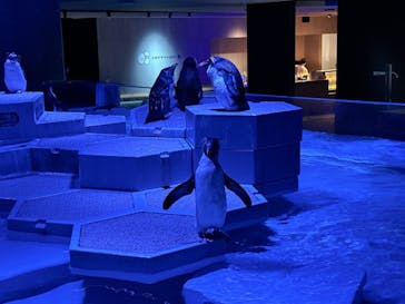 AOAO SAPPOROに投稿された画像（2024/9/7）