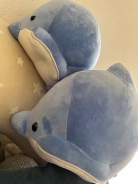 横浜・八景島シーパラダイスに投稿された画像（2024/9/7）