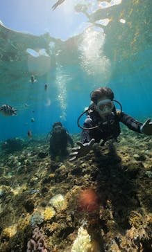 武藤潜水に投稿された画像（2024/9/7）