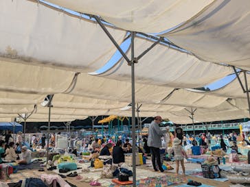 日本モンキーパークに投稿された画像（2024/9/7）