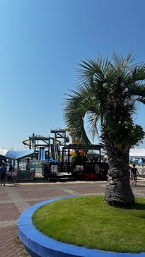 蓮沼ウォーターガーデンに投稿された画像（2024/9/7）