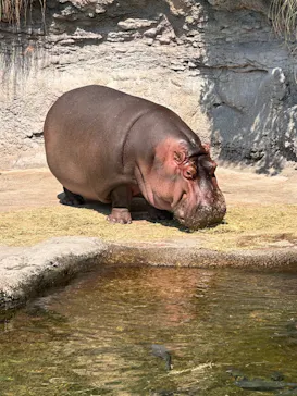 天王寺動物園に投稿された画像（2024/9/7）