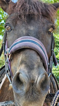 秋吉台自然動物公園 サファリランドに投稿された画像（2024/9/7）