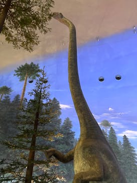 福井県立恐竜博物館に投稿された画像（2024/9/7）