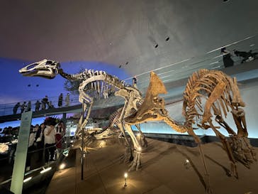 福井県立恐竜博物館に投稿された画像（2024/9/7）