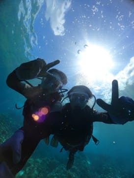 武藤潜水に投稿された画像（2024/9/7）