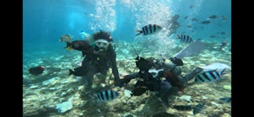 沖縄マリンサービス碧に投稿された画像（2024/9/7）