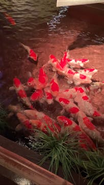 AQUARIUM × ART　atoaに投稿された画像（2024/9/7）