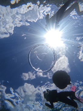 沖縄マリンサービス碧に投稿された画像（2024/9/7）