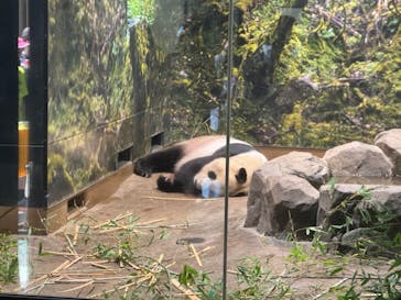 恩賜上野動物園に投稿された画像（2024/9/7）