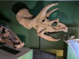 巨大恐竜展2024に投稿された画像（2024/9/7）