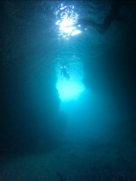 武藤潜水に投稿された画像（2024/9/7）