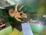 巨大恐竜展2024に投稿された画像（2024/9/7）