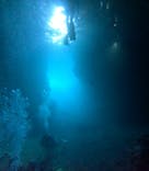 青の洞窟専門店　沖縄ダイビングショップ和に投稿された画像（2024/9/7）