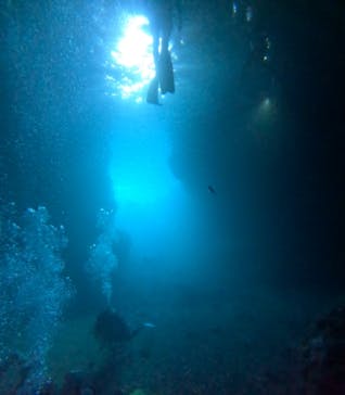 青の洞窟専門店　沖縄ダイビングショップ和に投稿された画像（2024/9/7）