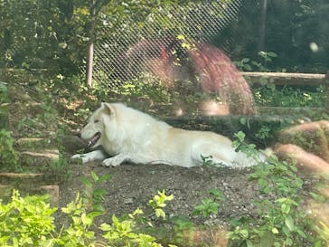 名古屋市東山動植物園に投稿された画像（2024/9/7）