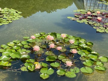 名古屋市東山動植物園に投稿された画像（2024/9/7）