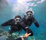 沖縄マリンサービス碧に投稿された画像（2024/9/7）