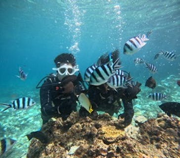 沖縄マリンサービス碧に投稿された画像（2024/9/7）